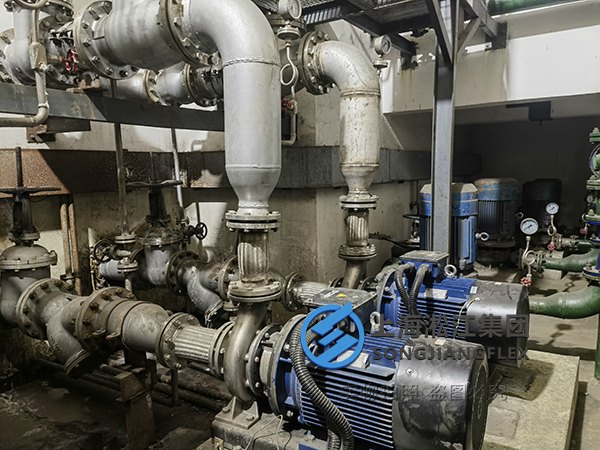 Metal Hoses for Cooling Water Pumps in Triple-Effect Evaporation Systems