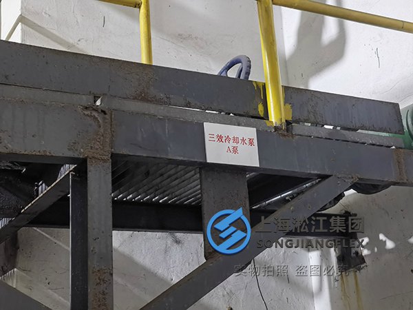 Metal Hoses for Cooling Water Pumps in Triple-Effect Evaporation Systems