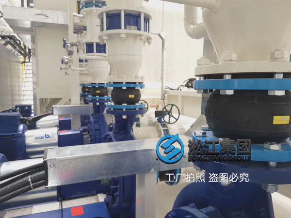 Shanghai Songjiang Group Provides Rubber Expansion Joints for KSB Pumps