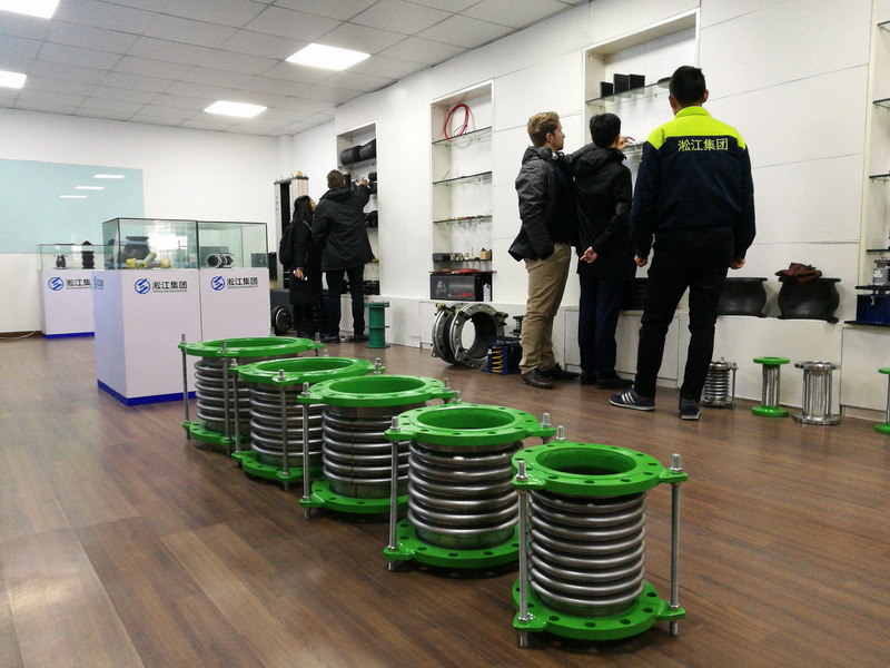 German Visitors Touring Shanghai Songjiang Vibration Absorber Group Factory