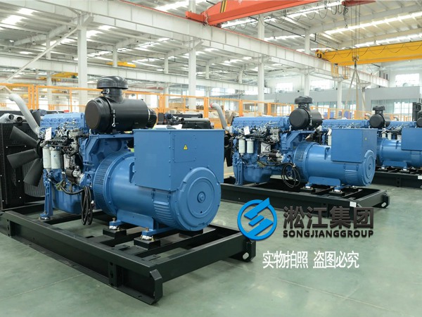 Rubber Vibration Isolators For large Generator Systems At The First People's Hospital Of Shanghai