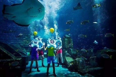 information on the marine aquarium life support system